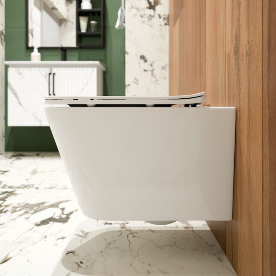 Унитаз-биде подвесной безободковый EvaGold EG070010 с тонкой крышкой микролифт - фото 2