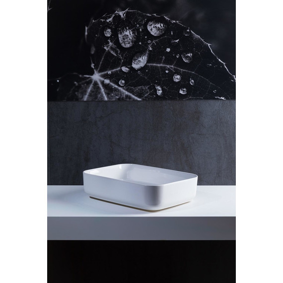 Раковина-чаша Allen Brau Fantasy 50 см 4.11021.20 - фото 4