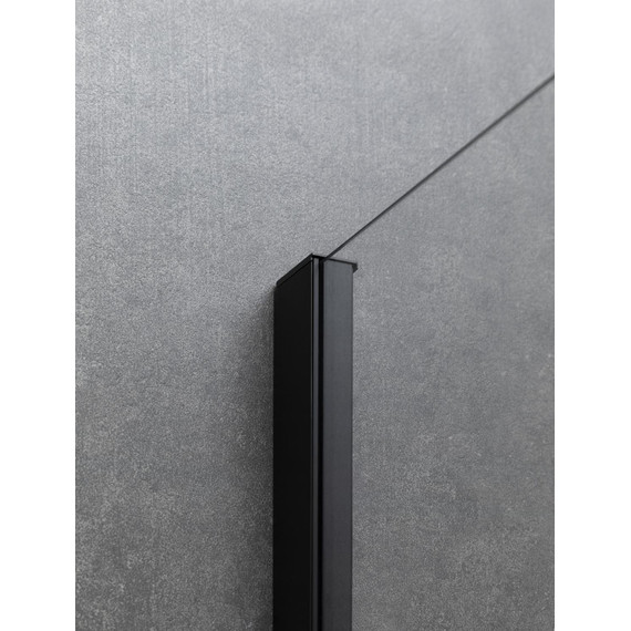 Душевая дверь Allen Brau Priority 120 см 3.31009.BBA, чёрный браш/прозрачное - фото 5