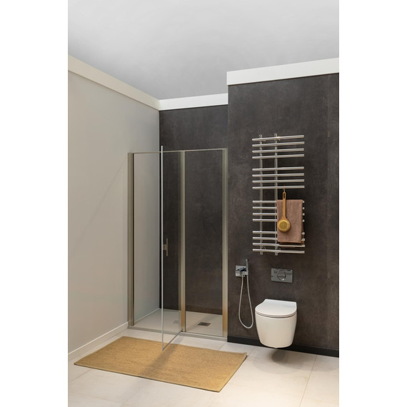 Душевая дверь Allen Brau Priority 160 см 3.31038.BA (стекло 8 мм) серебро браш/прозрачное - фото 4