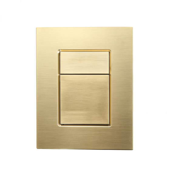 Кнопка смыва Wonzon & Woghand WW-IB256-BG, золото - фото 