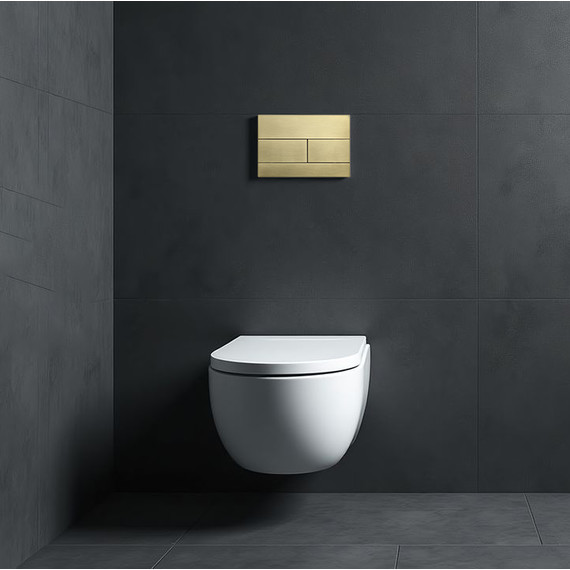 Кнопка смыва Wonzon & Woghand WW-IB235-BG, золото - фото 2