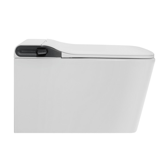 Инсталляция с подвесным унитазом комплект: Abber AC0101P2 с подвесным импульсным унитазом-биде Rechteck AC1215S с крышкой микролифт - фото 2