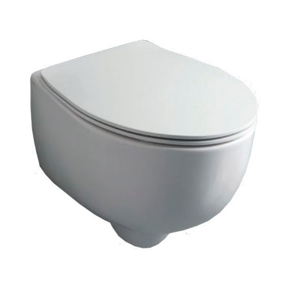 Унитаз подвесной безободковый Simas Bormio BR18bi - фото 