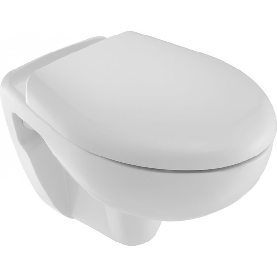 Унитаз подвесной Jacob Delafon Brive E4345G-00 - фото 