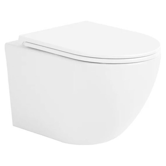 Унитаз подвесной безободковый Sintesi Evi SIN-TS-EVI-151WM с крышкой микролифт, белый матовый, Цвет производителя: белый матовый - фото 