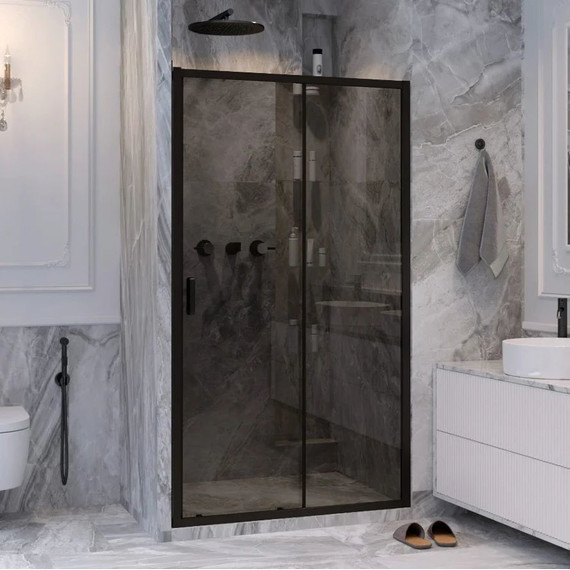 Душевая дверь Ambassador Forsa 110 см 17022217ABB, чёрный/тонированное - фото 