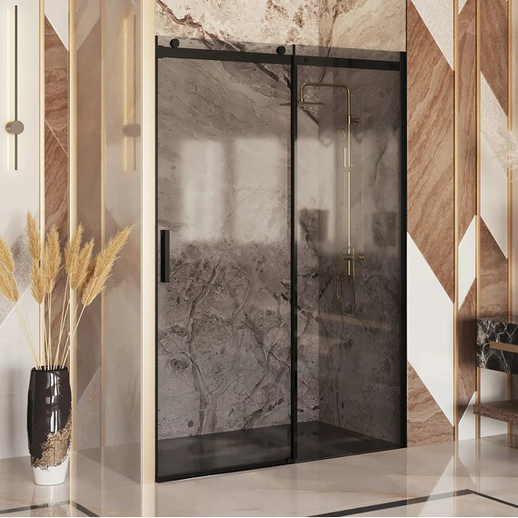 Душевая дверь Ambassador Benefit 160 см 19022205HBB (стекло 8 мм) чёрный/тонированное - фото 