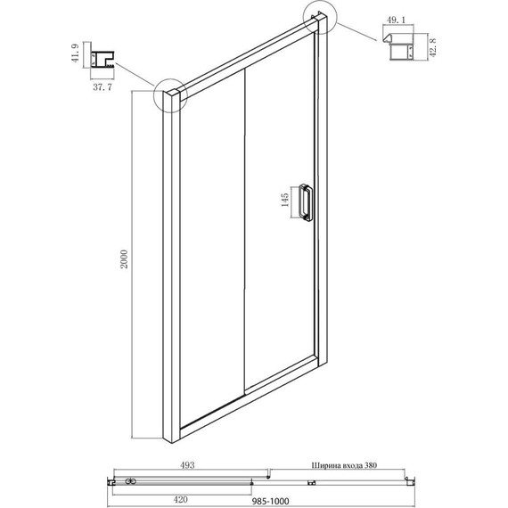 Душевая дверь Ambassador Forsa 100 см 17022216ABB, чёрный/тонированное - фото 4