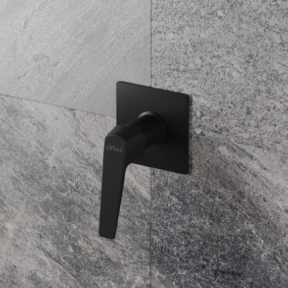 Смеситель для душа Paini Bari RTYO690, черный матовый - фото 2