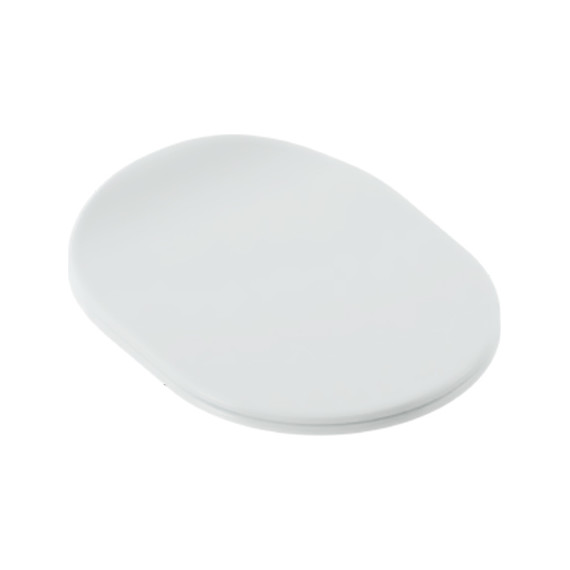 Сиденье с крышкой для унитаза Artceram Chic микролифт CHA001 01 71 (петли хром) - фото 