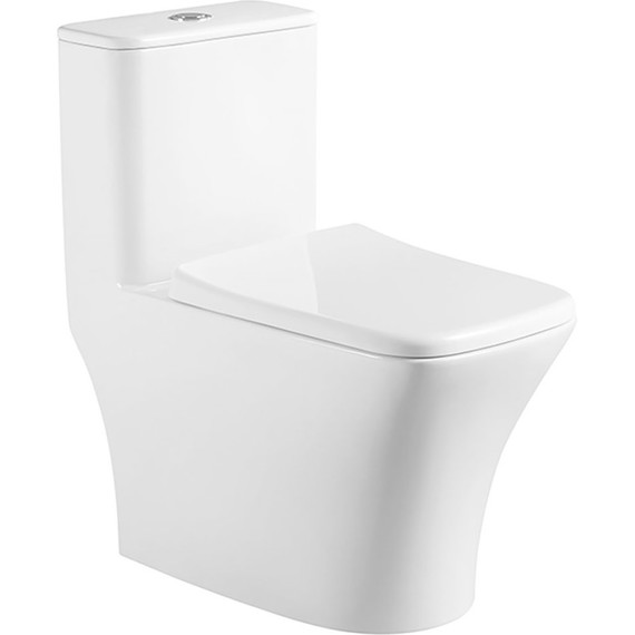 Унитаз-моноблок безободковый Azario Teano AZ-8621 с крышкой микролифт - фото 